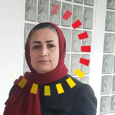 توران پوری